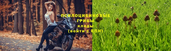 каннабис Баксан