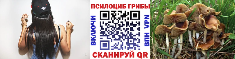 мега ONION  Всеволожск  shop формула  как найти закладки  Галлюциногенные грибы Psilocybe 